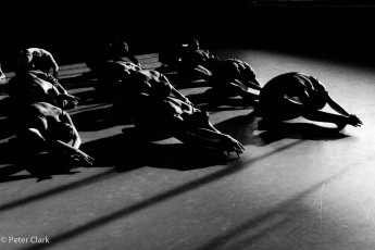 <div class=''>Dance Forward (RAD)</div><div class='entry-categories cat-links'><a href='http://peterclarkimages.co.uk/portfolio/dance/'>Dance</a> | <a href='http://peterclarkimages.co.uk/portfolio/performance/'>Performance</a></div>