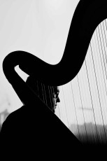 <div class=''>Ministry of Sound Classical</div><div class='entry-categories cat-links'><a href='https://peterclarkimages.co.uk/portfolio/music/'>Music</a> | <a href='https://peterclarkimages.co.uk/portfolio/performance/'>Performance</a></div>