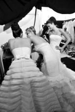 <div class=''>Whispering Doves</div><div class='entry-categories cat-links'><a href='https://peterclarkimages.co.uk/portfolio/backstage/'>Backstage</a></div>